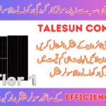 Talesun Solar Panel Price in Pakistan