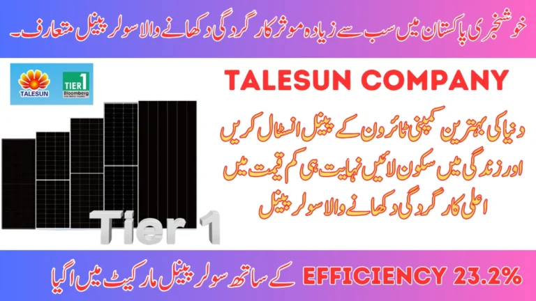 Talesun Solar Panel Price in Pakistan