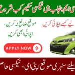 CM Punjab E-Taxi Scheme 2025