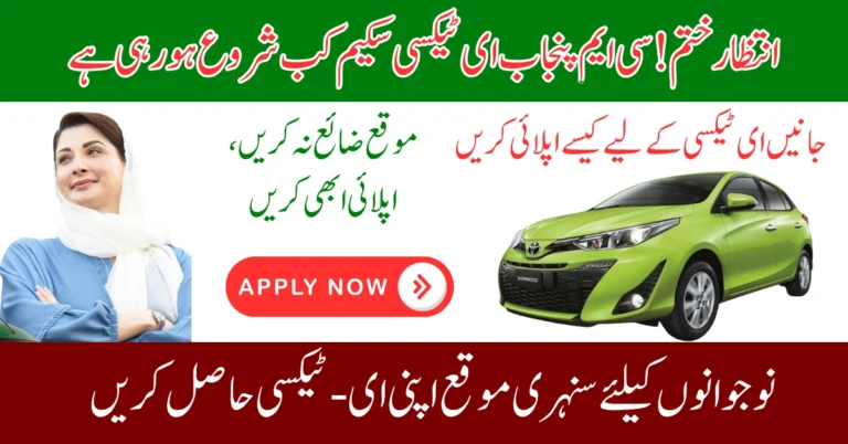 CM Punjab E-Taxi Scheme 2025